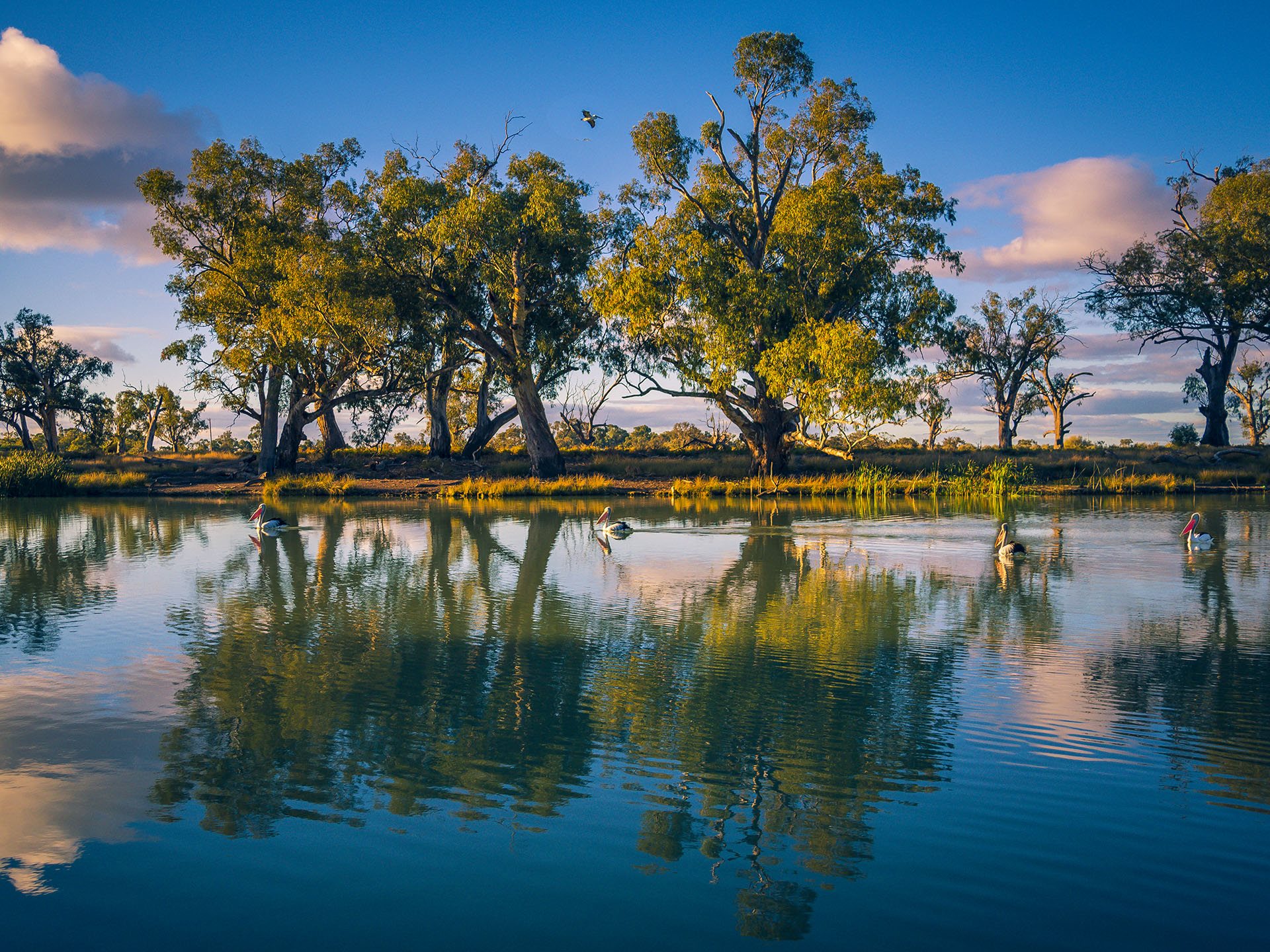 Visit Mildura