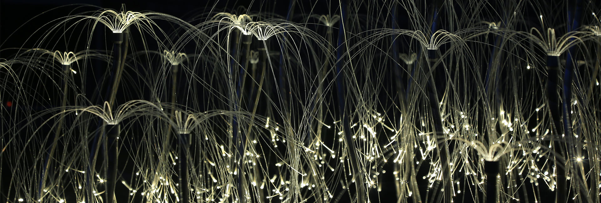 Visit Mildura Lights